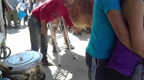 chicas haciendo pajas|Gorila haciéndose una paja .